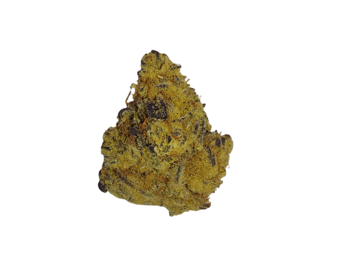 Chimera 2 hybrid cannabis strain — buy online Cape Town | Cannibisters