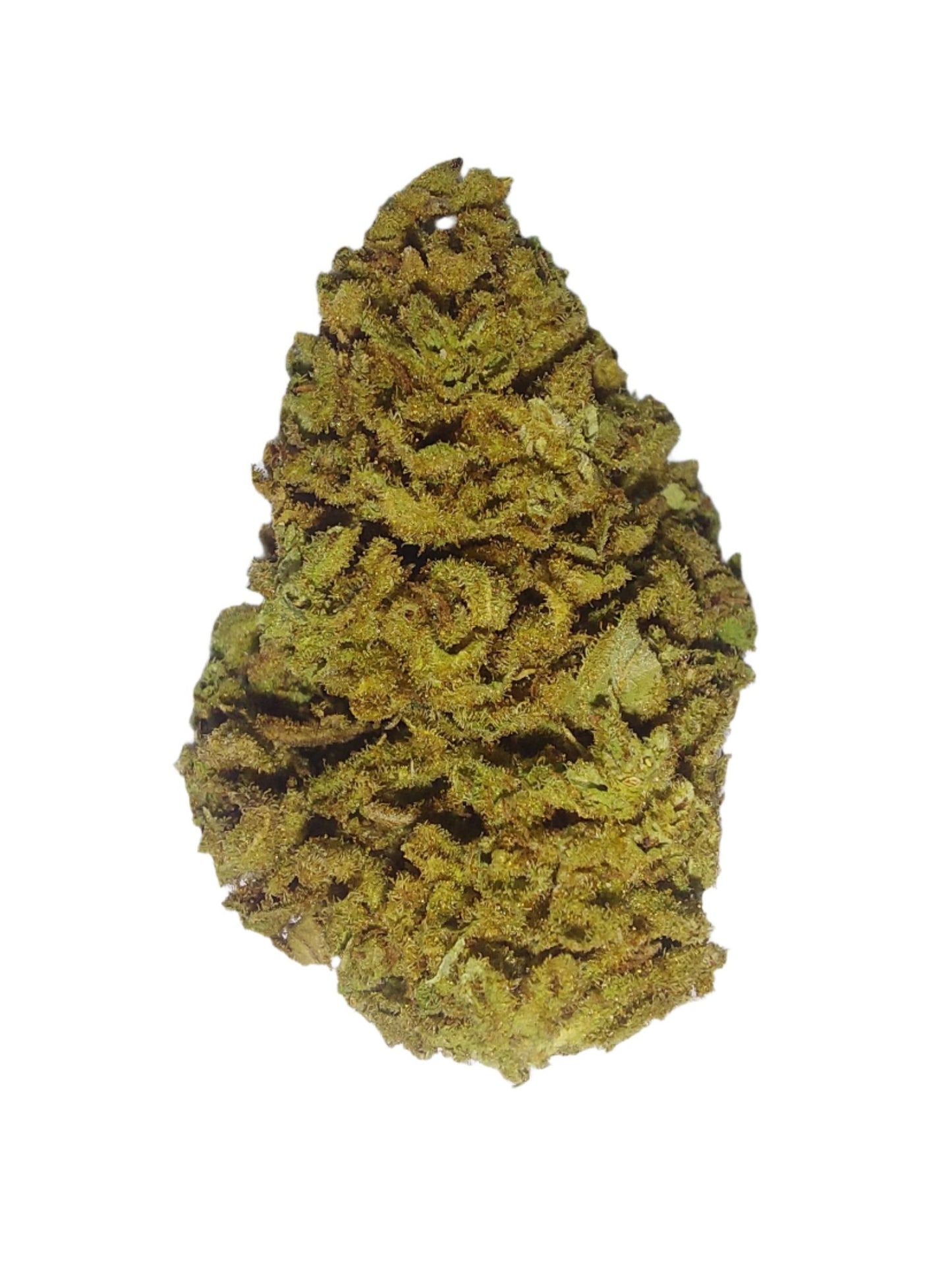 Grape Diamonds (Organic Living Soil) cannabis cannabis strain — buy online Cape Town | Cannibisters