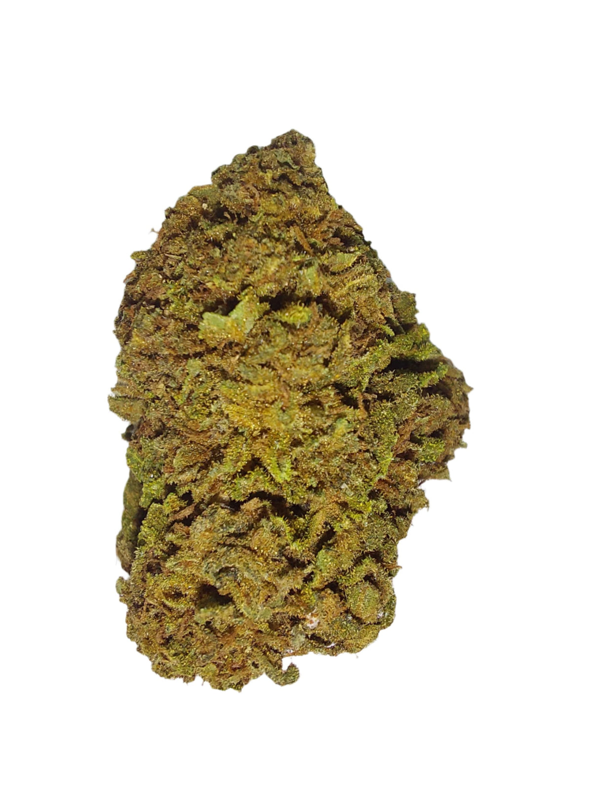 LSD (Organic Living Soil) cannabis cannabis strain — buy online Cape Town | Cannibisters