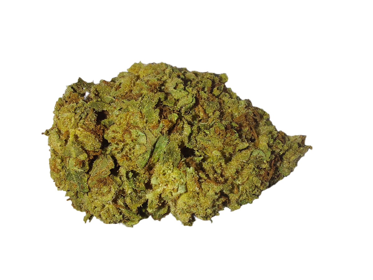 Monkey Business (Organic Living Soil) cannabis cannabis strain — buy online Cape Town | Cannibisters