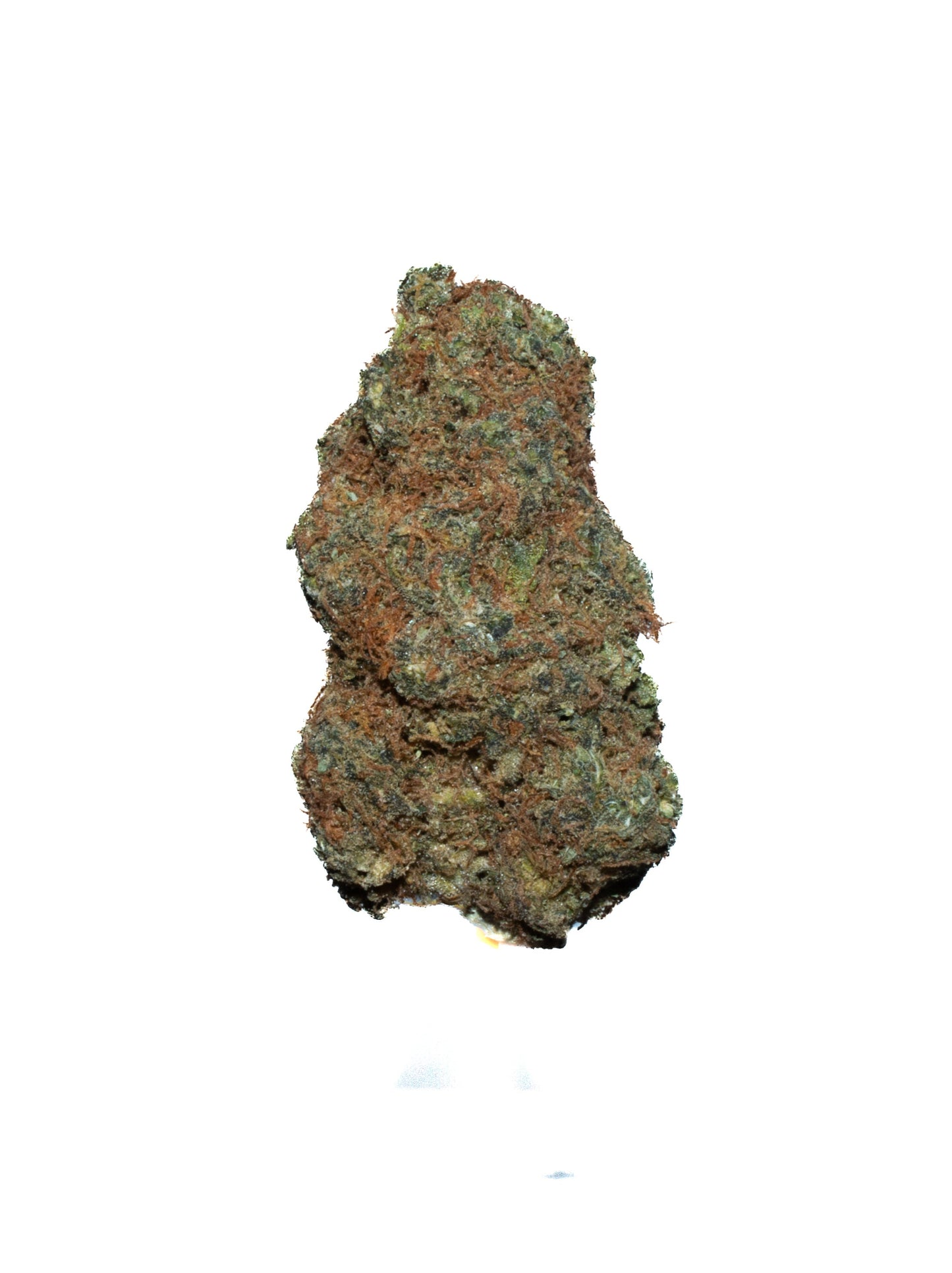 Acapulco Gold sativa cannabis strain — buy online Cape Town | Cannibisters