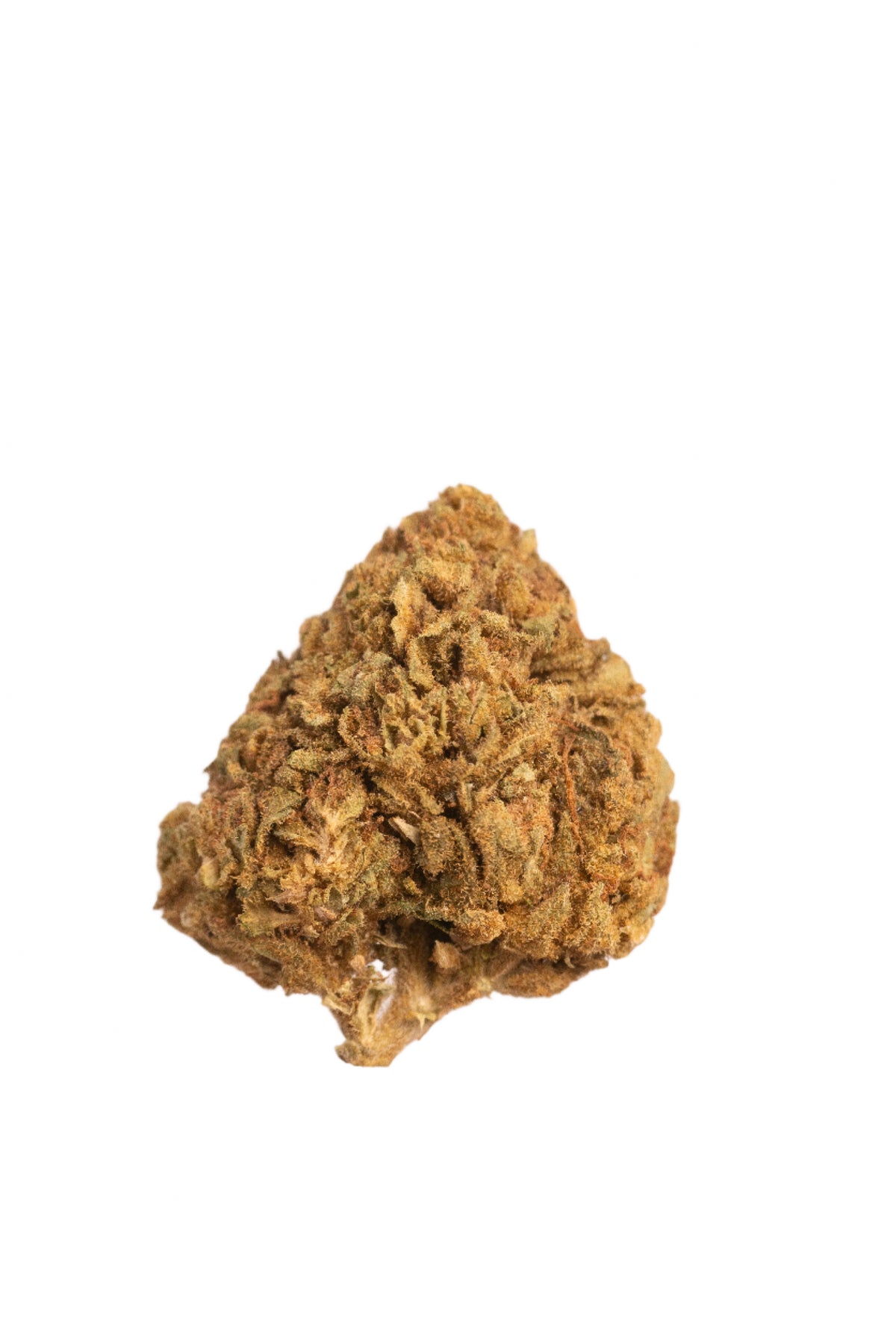 Blueberry (Organic Living Soil) cannabis cannabis strain — buy online Cape Town | Cannibisters