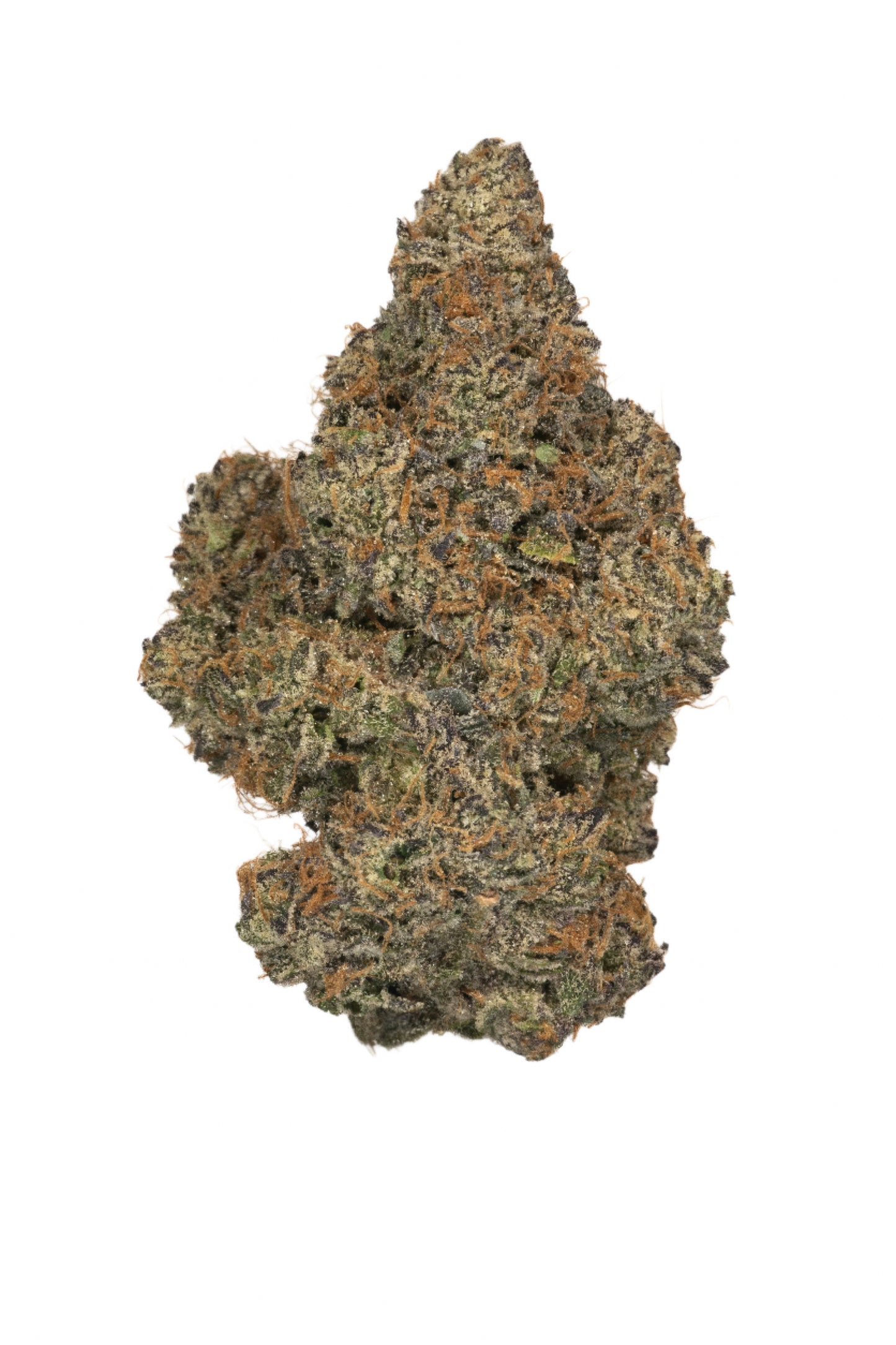 Blue Zushi cannabis cannabis | Cannibisters Cape Town