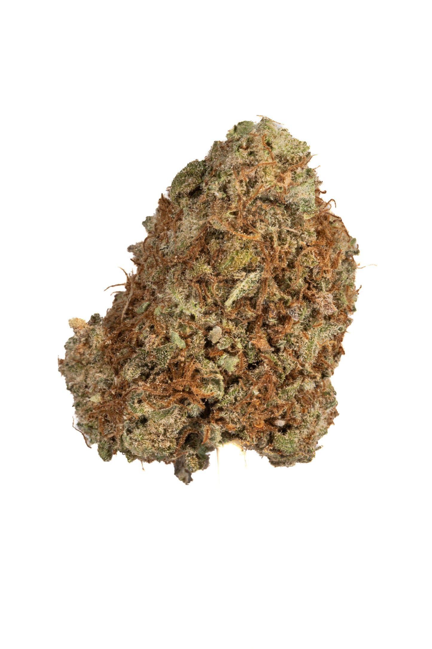Bruce Banner sativa cannabis | Cannibisters Cape Town