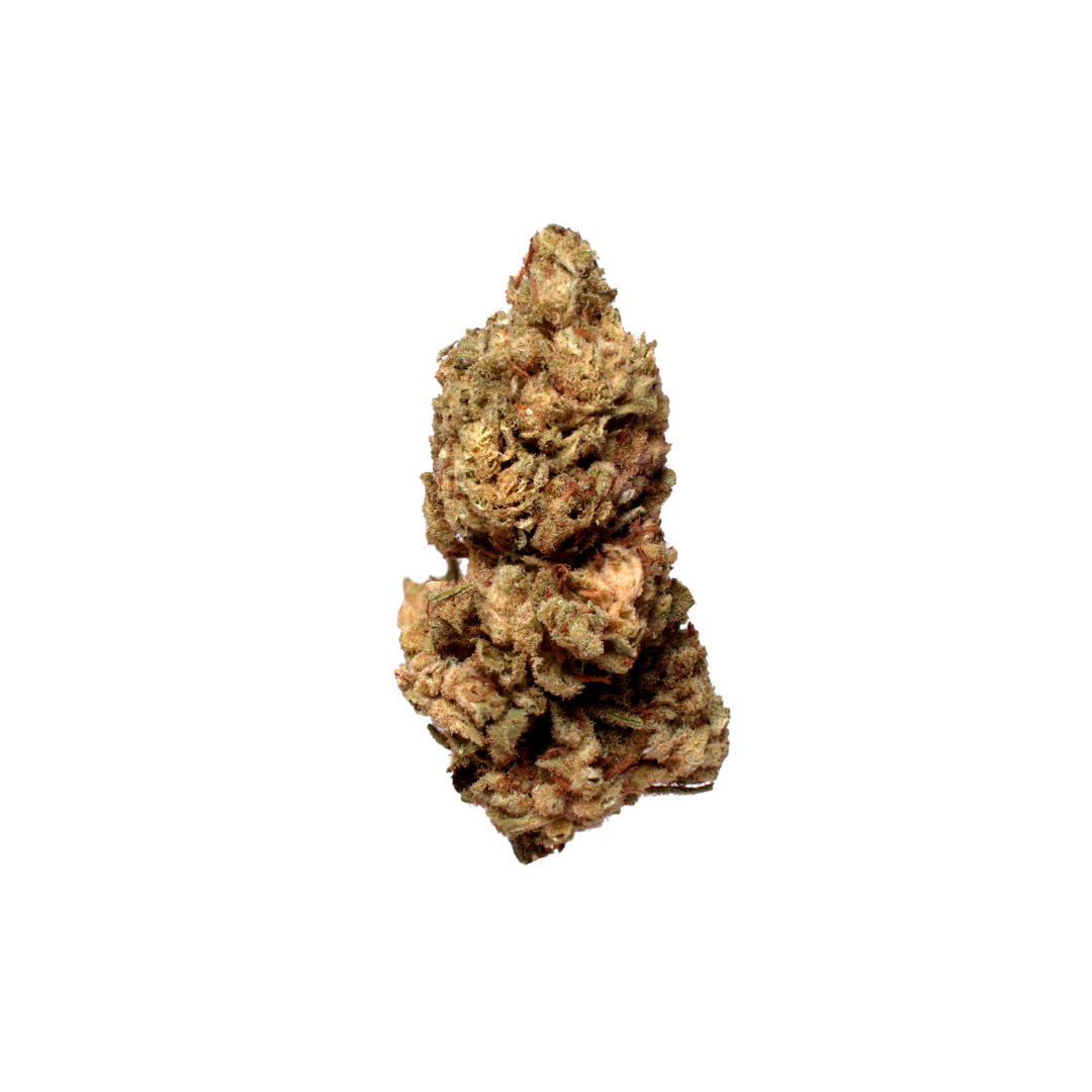 Champagne Rose (Organic Living Soil) cannabis cannabis strain — buy online Cape Town | Cannibisters