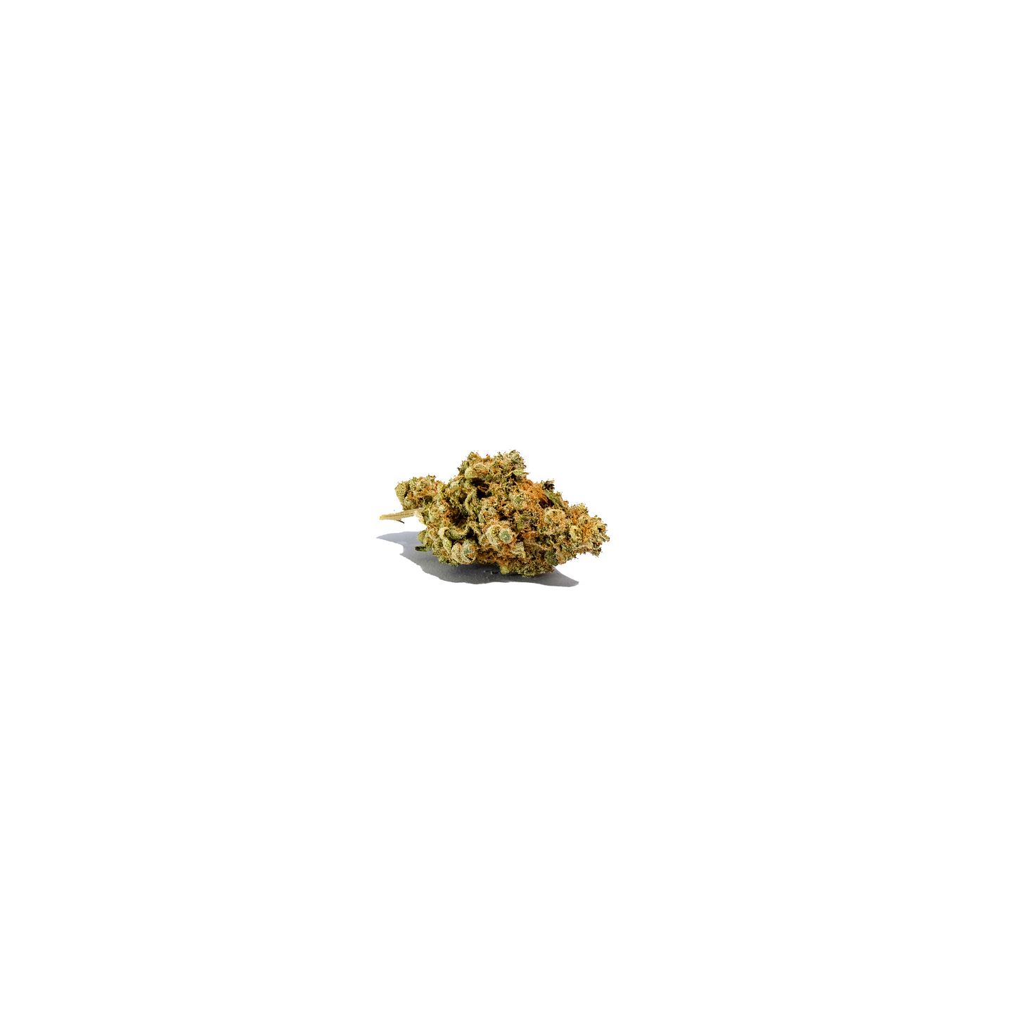 Candy Floss indica cannabis strain — buy online Cape Town | Cannibisters