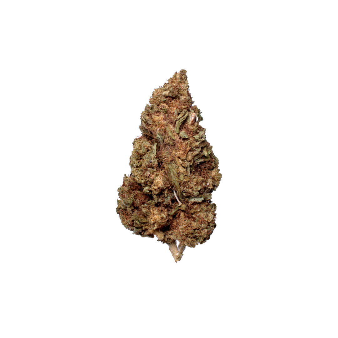 Dark Phoenix (Organic Living Soil) sativa cannabis strain — buy online Cape Town | Cannibisters