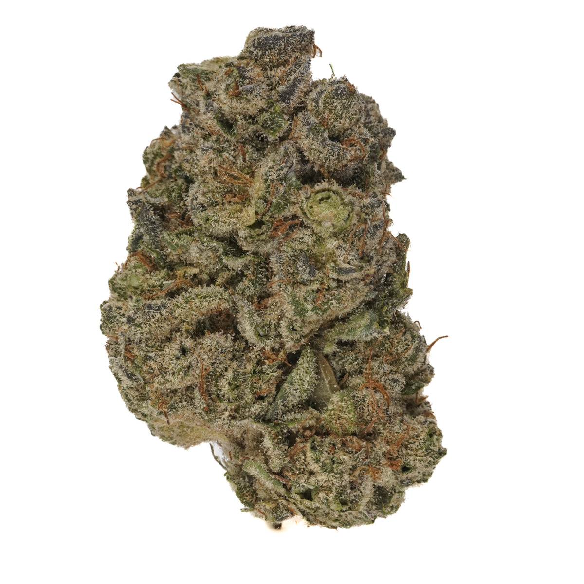Philadelphia Cream cannabis cannabis | Cannibisters Cape Town