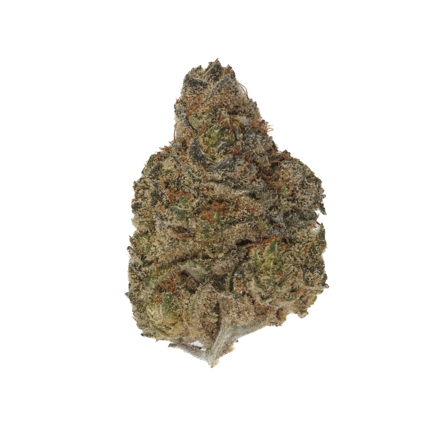 Gary Poppins cannabis cannabis | Cannibisters Cape Town