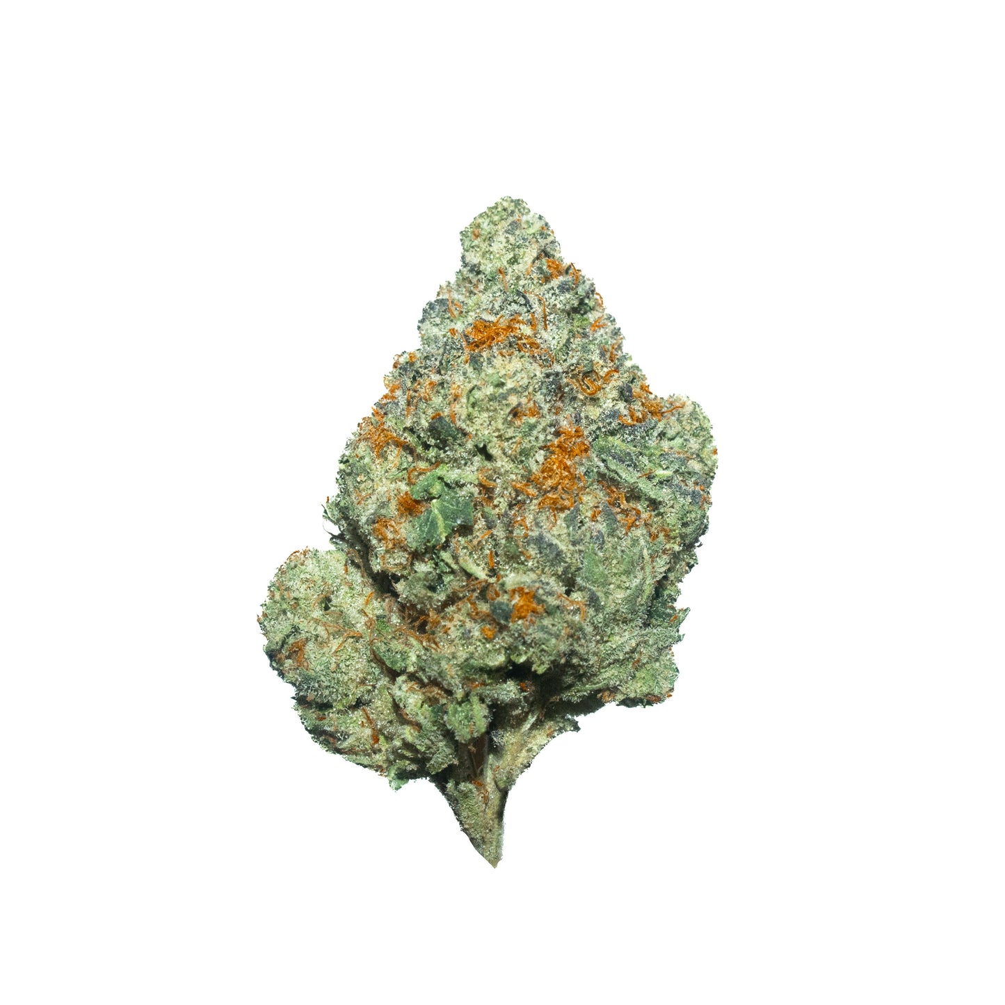 Fire Crotch hybrid cannabis strain — buy online Cape Town | Cannibisters