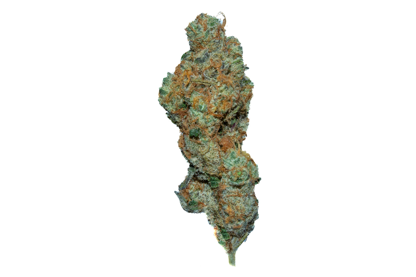 Frosted Apricot sativa cannabis strain — buy online Cape Town | Cannibisters