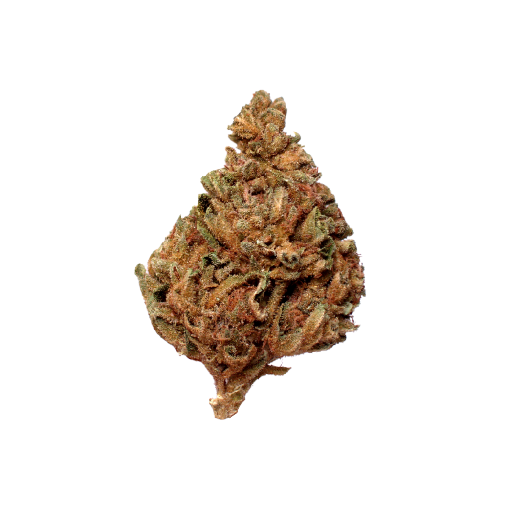 GMO (Organic Living Soil) cannabis cannabis strain — buy online Cape Town | Cannibisters