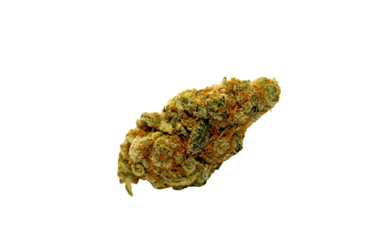 Gorilla Cookies Joint cannabis cannabis strain — buy online Cape Town | Cannibisters