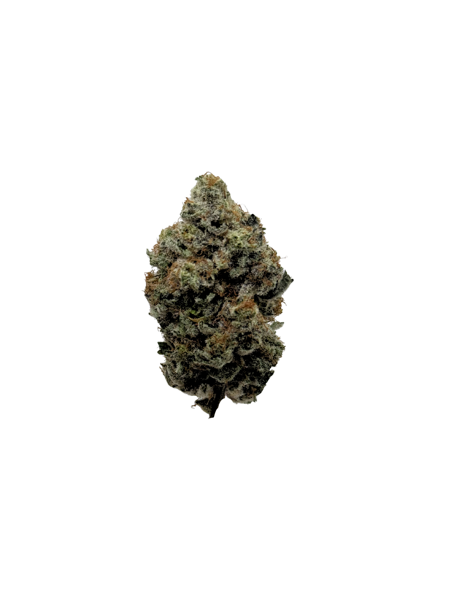 King's Crown