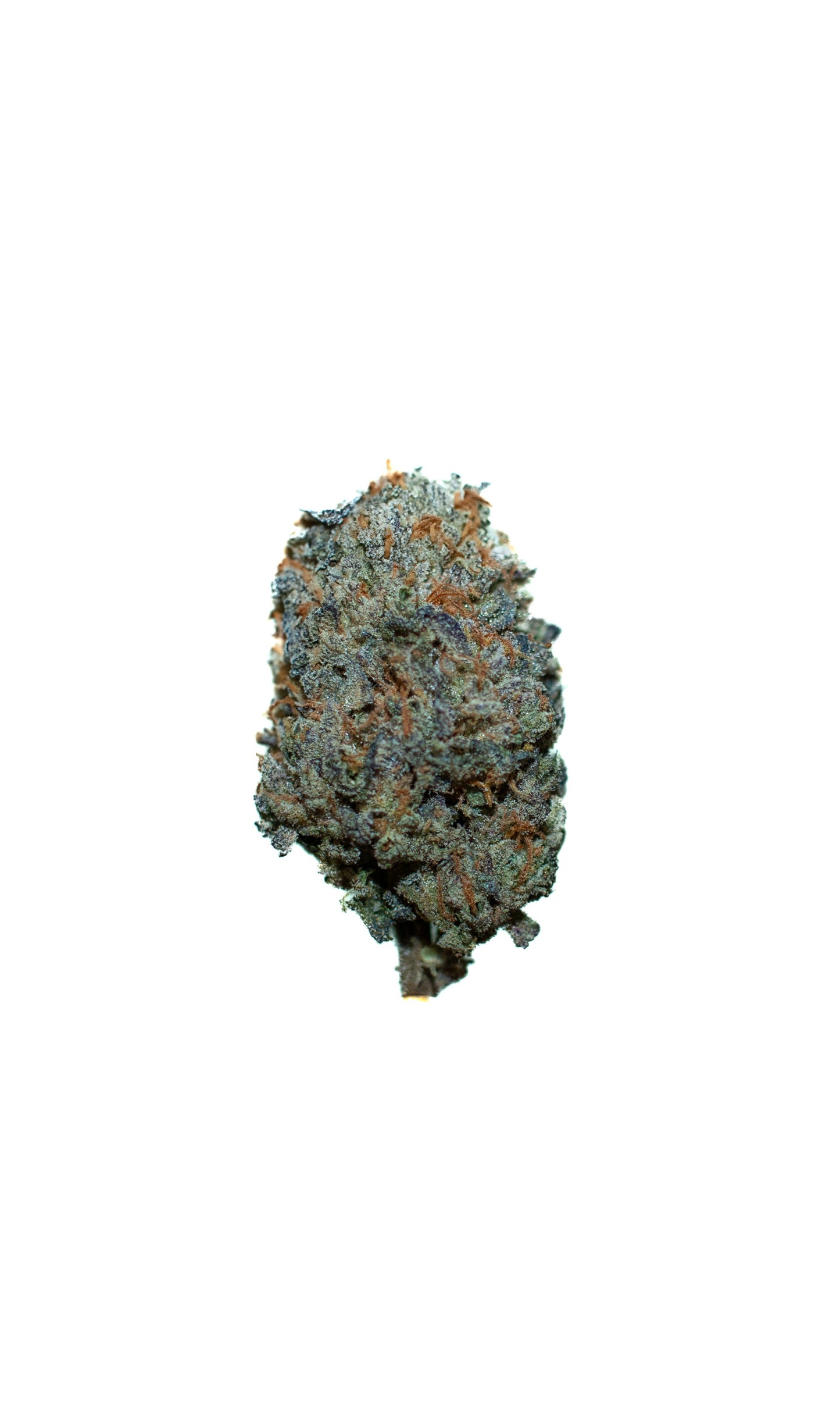 LA Bomber cannabis cannabis strain — buy online Cape Town | Cannibisters