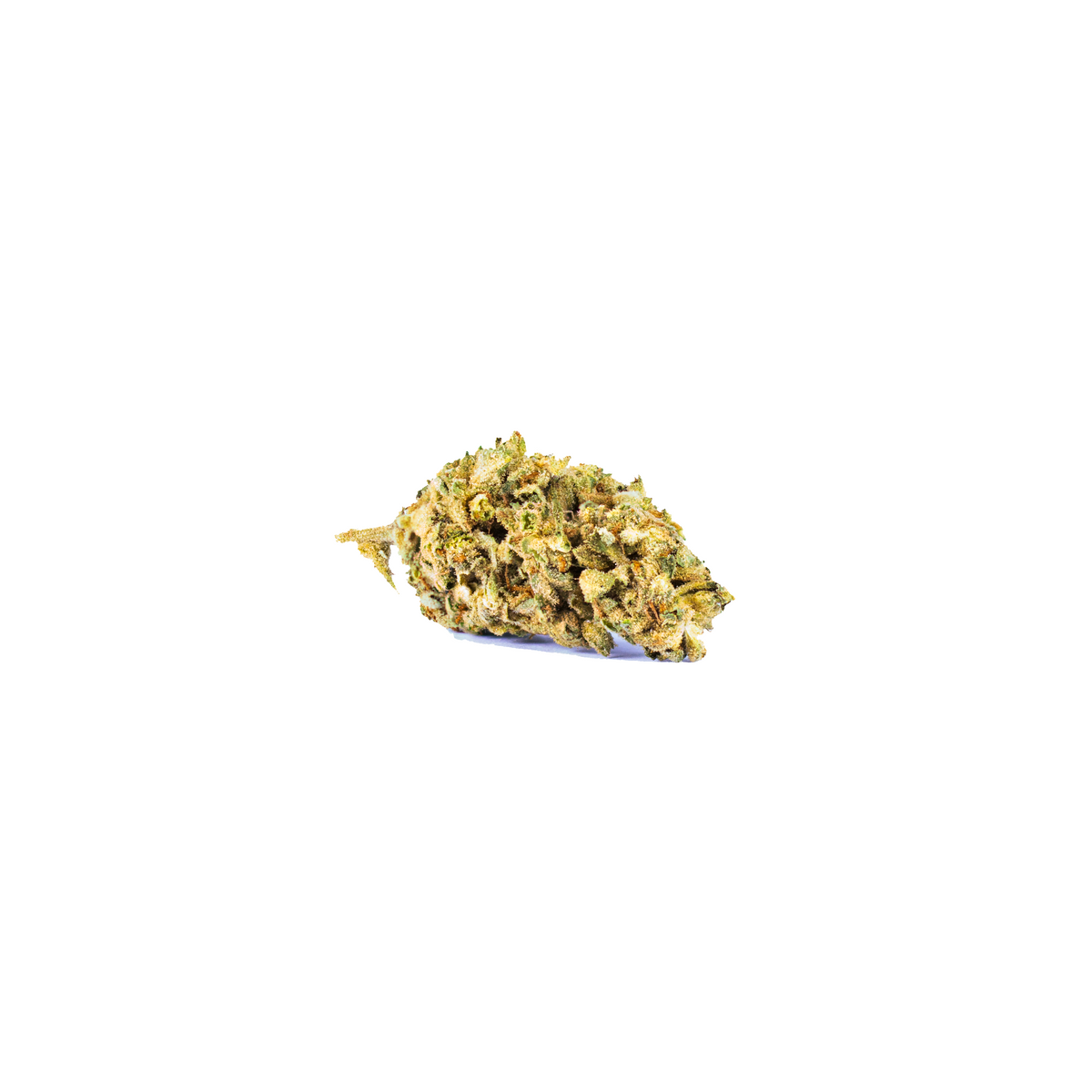 Sunset Sherbert GreenHouse indica cannabis strain — buy online Cape Town | Cannibisters