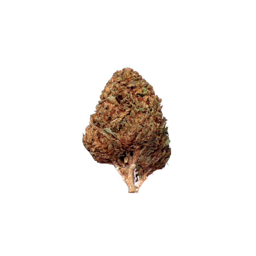 Mandarin Mints (Organic Living Soil) cannabis cannabis strain — buy online Cape Town | Cannibisters
