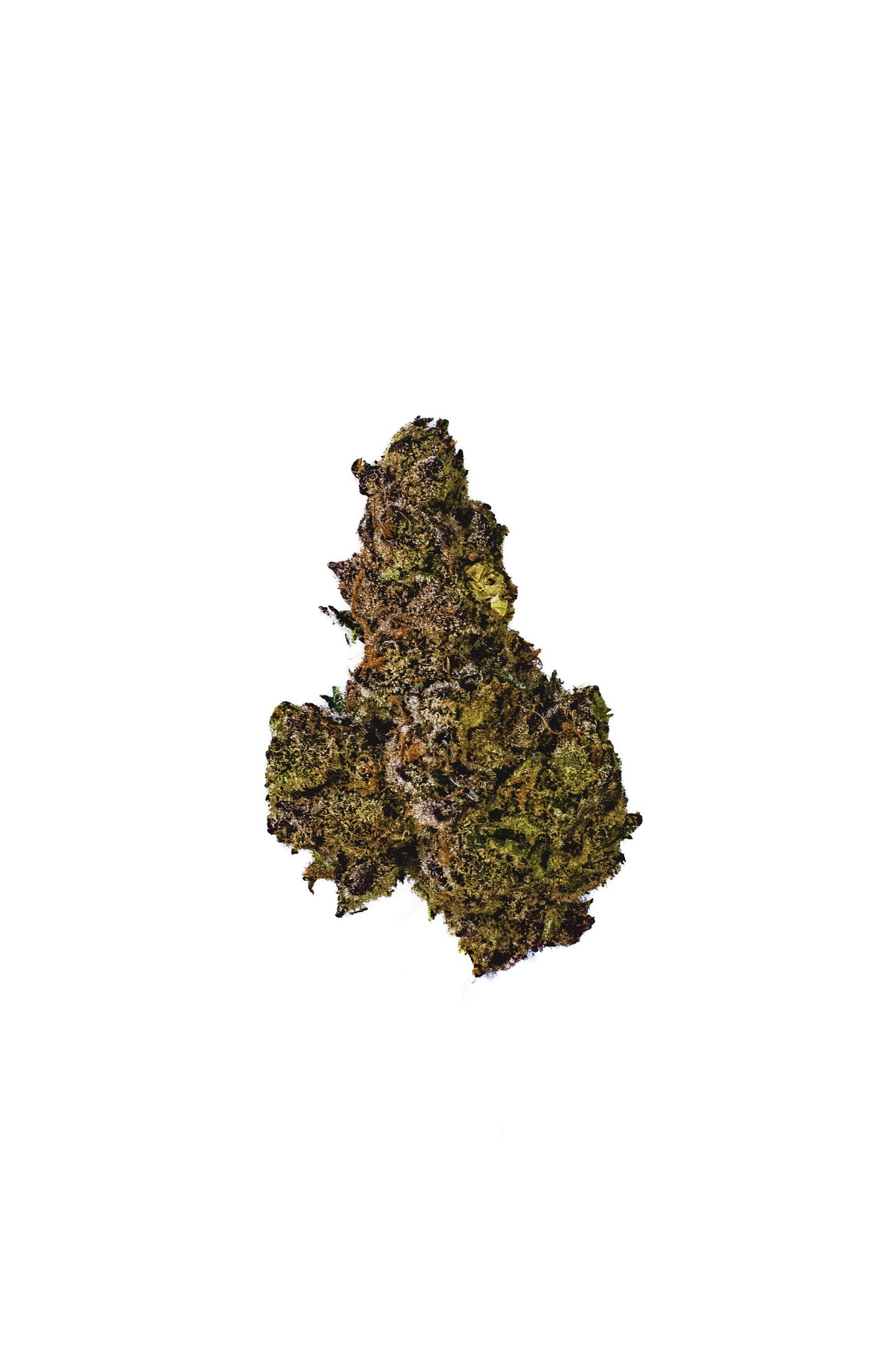 Animal Tsunami cannabis cannabis strain — buy online Cape Town | Cannibisters