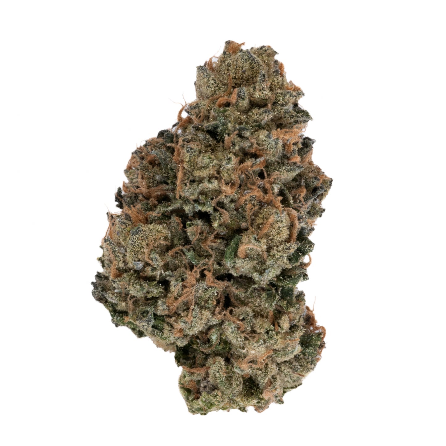 Malibu Marker hybrid cannabis strain — buy online Cape Town | Cannibisters
