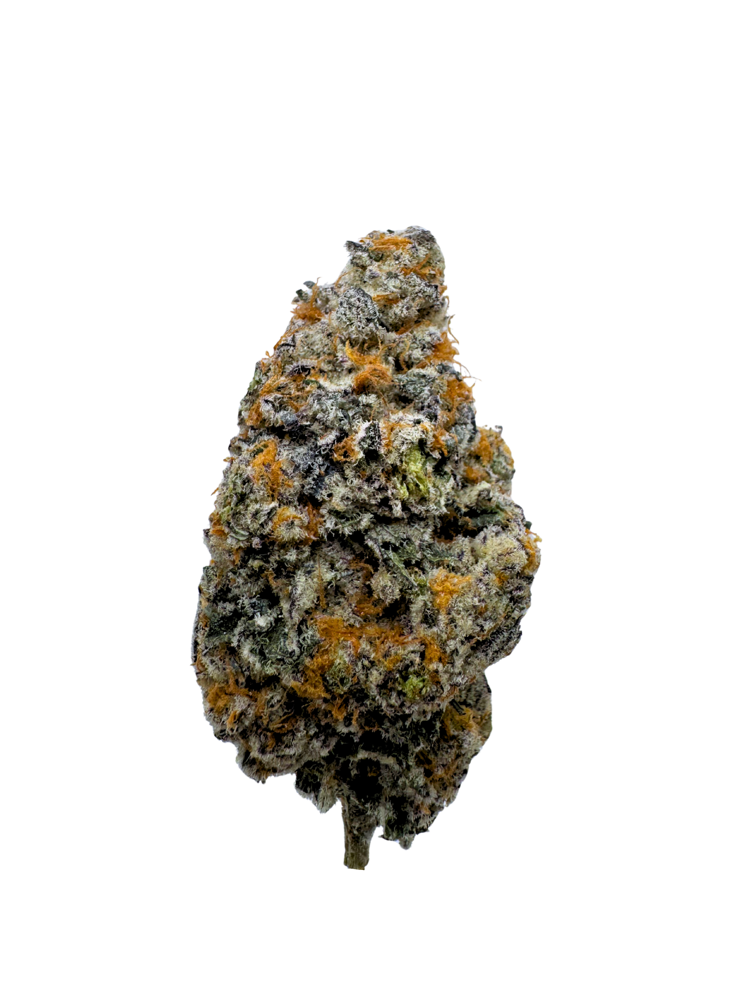 Mike Secret Sauce