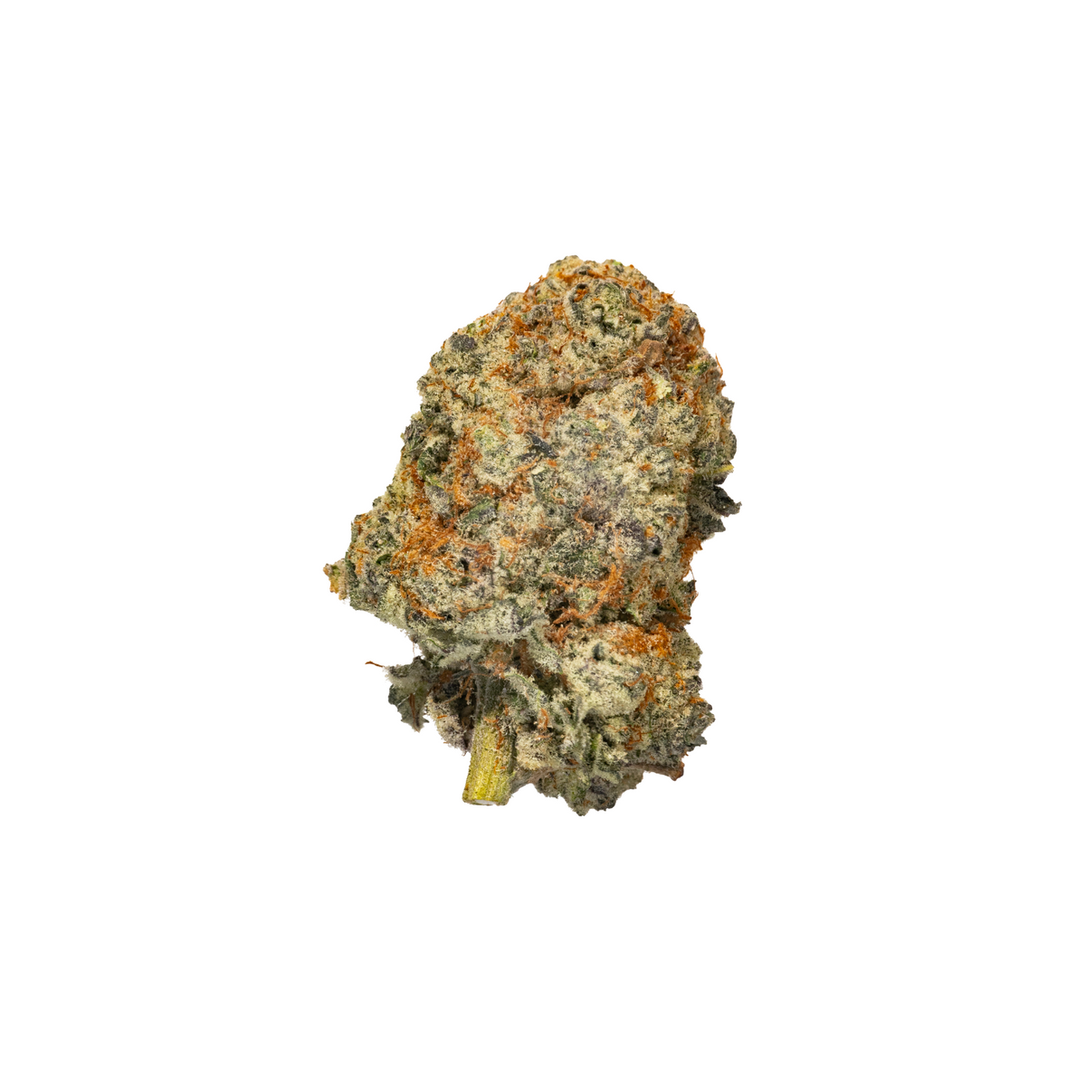 Milk Bottles hybrid cannabis strain — buy online Cape Town | Cannibisters
