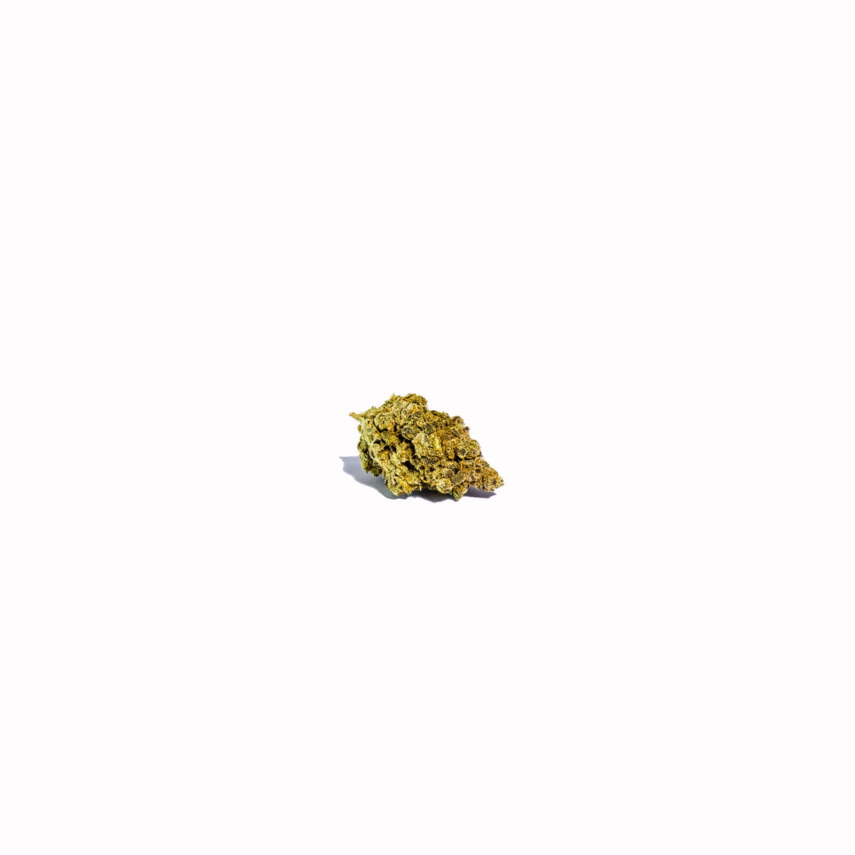 Nana Glue hybrid cannabis strain — buy online Cape Town | Cannibisters