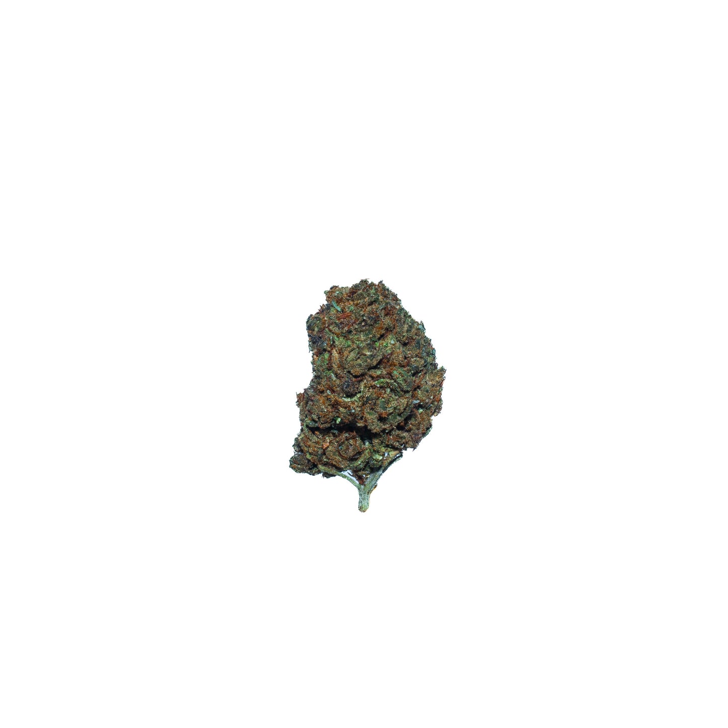 Nostalgic Intoxication - CBD cannabis cannabis strain — buy online Cape Town | Cannibisters