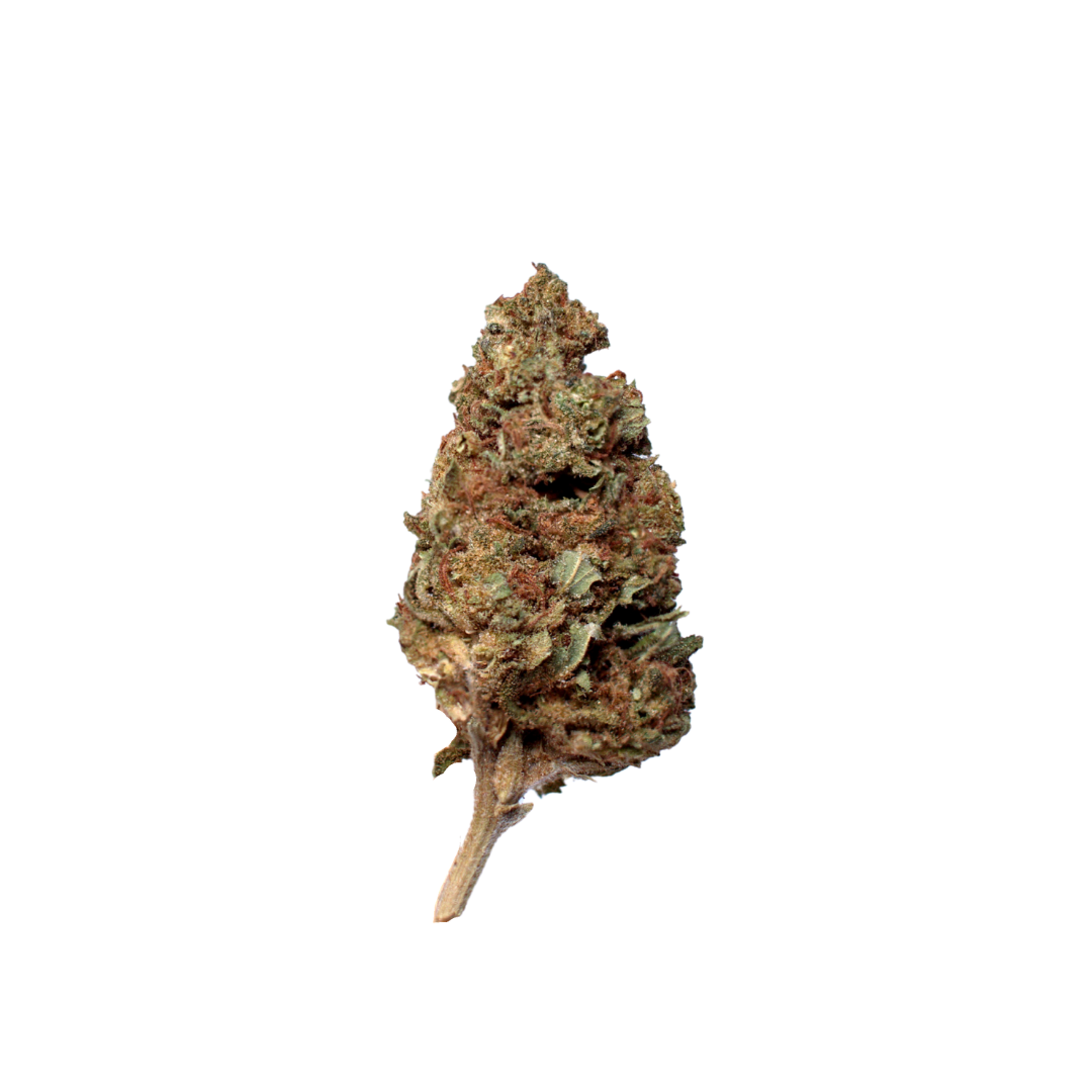 Obi Wan Kinobi (Organic Living Soil) indica cannabis strain — buy online Cape Town | Cannibisters