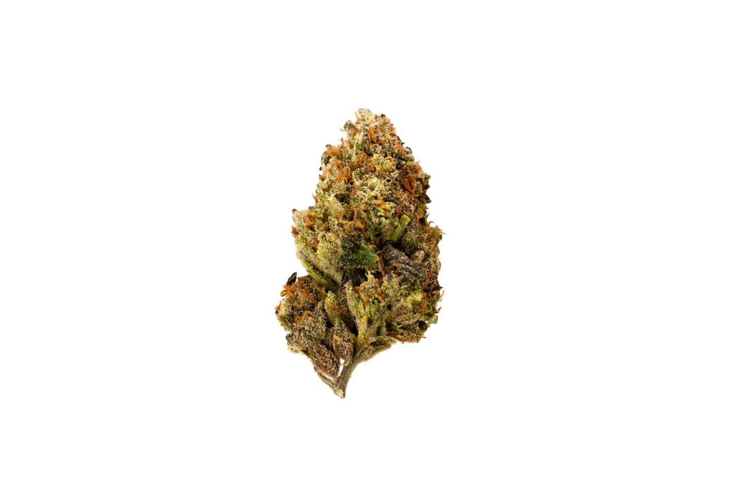 Pussy Wagon sativa cannabis strain — buy online Cape Town | Cannibisters