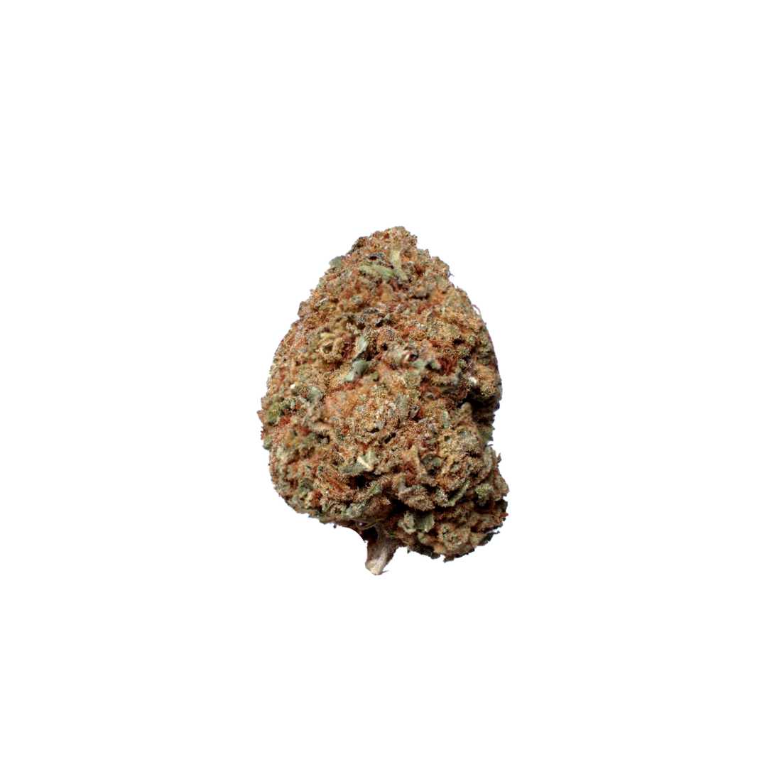 Ringo's Gift CBD (Organic Living Soil) cannabis cannabis strain — buy online Cape Town | Cannibisters