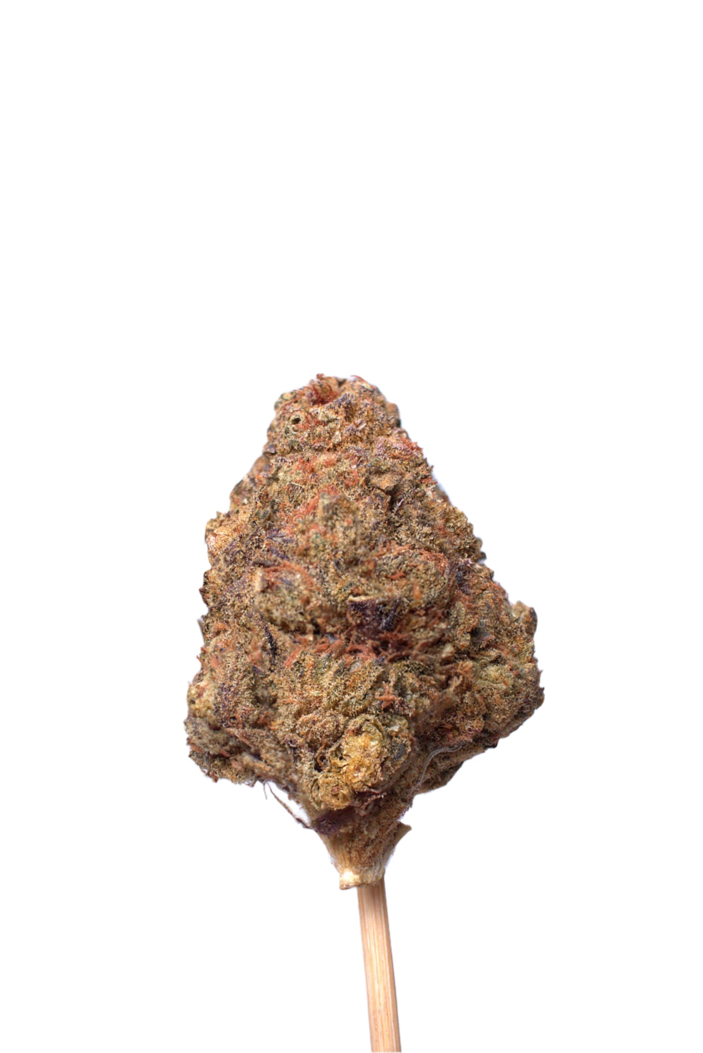 Shiska Berry indica cannabis strain — buy online Cape Town | Cannibisters