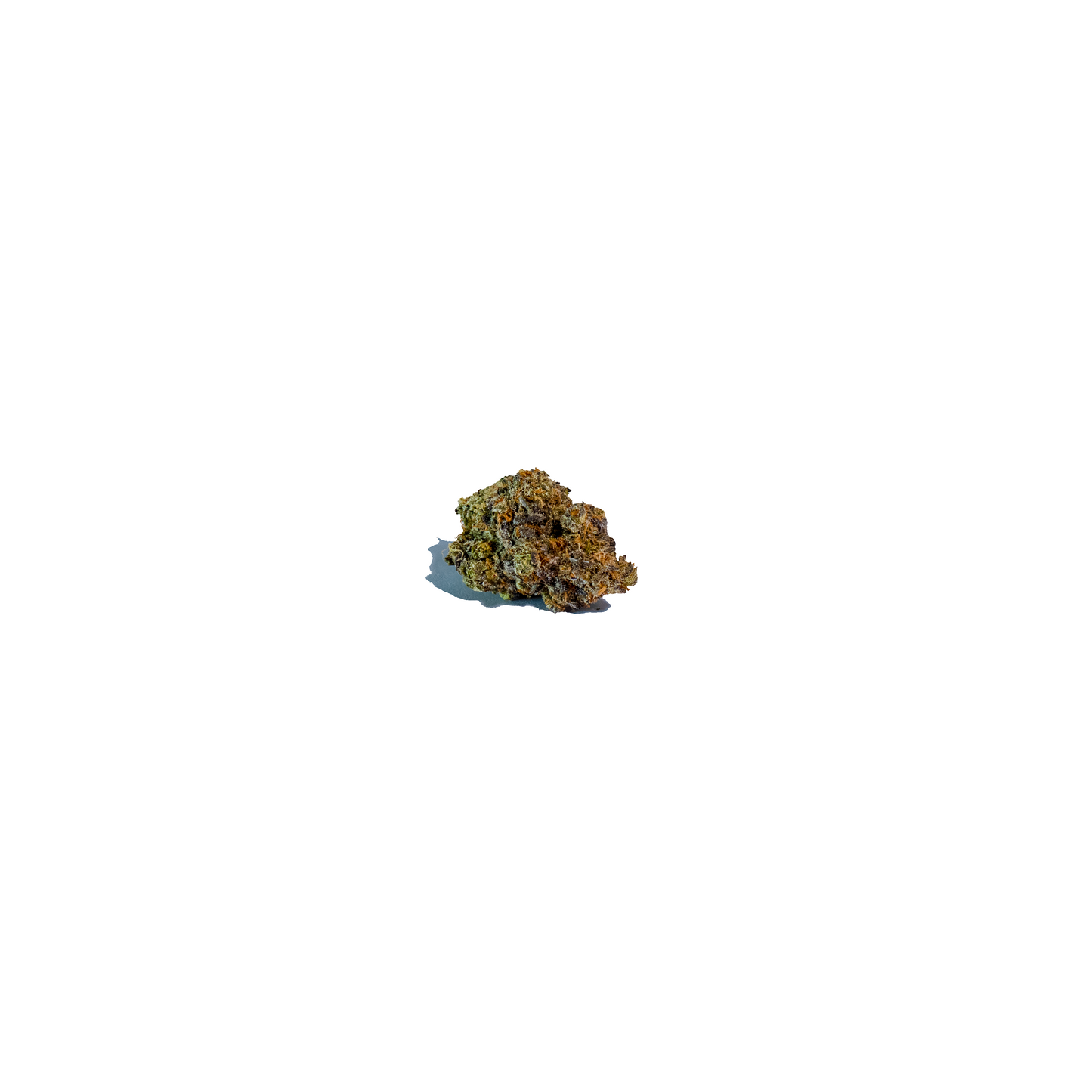 Shortbread hybrid cannabis strain — buy online Cape Town | Cannibisters