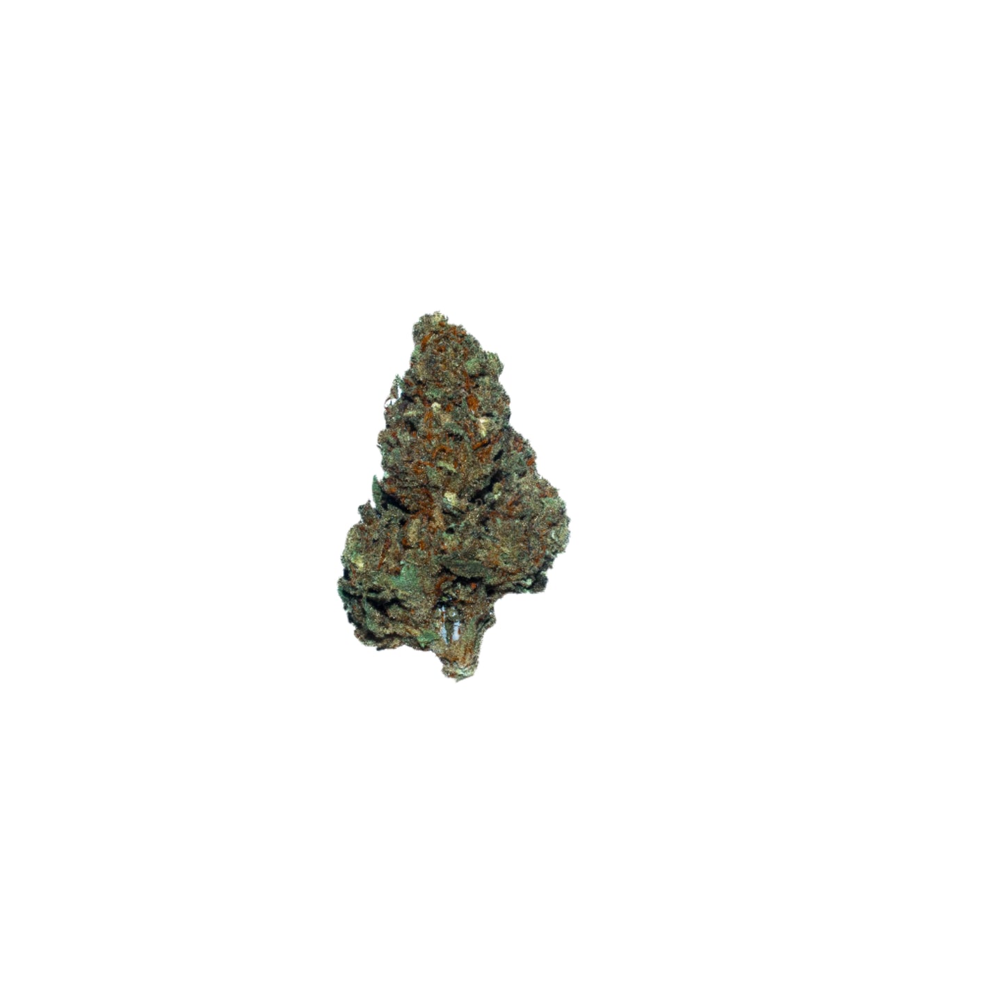 Skywalker (Organic Living Soil) indica cannabis strain — buy online Cape Town | Cannibisters