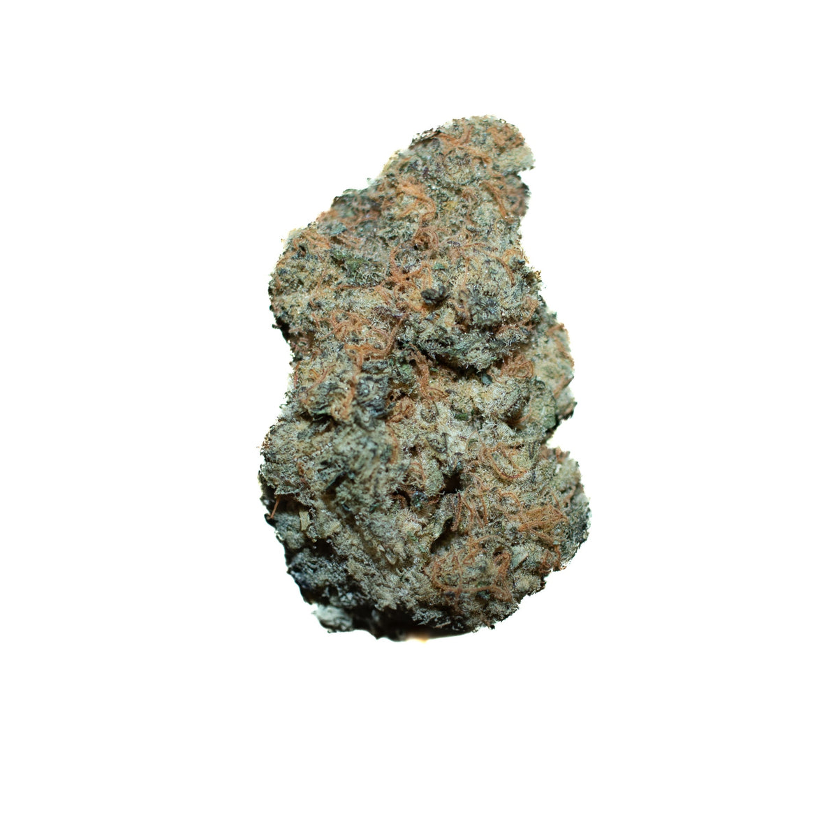Spicy Lemonade cannabis cannabis strain — buy online Cape Town | Cannibisters
