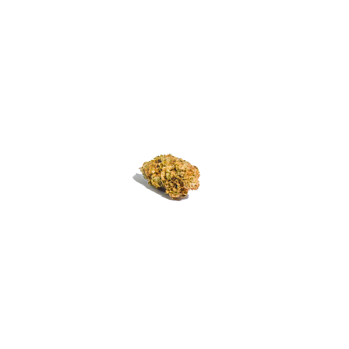 Super Glue cannabis cannabis strain — buy online Cape Town | Cannibisters