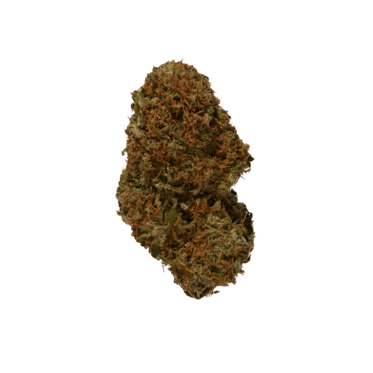 Super Cheese (Organic Living Soil) cannabis cannabis strain — buy online Cape Town | Cannibisters