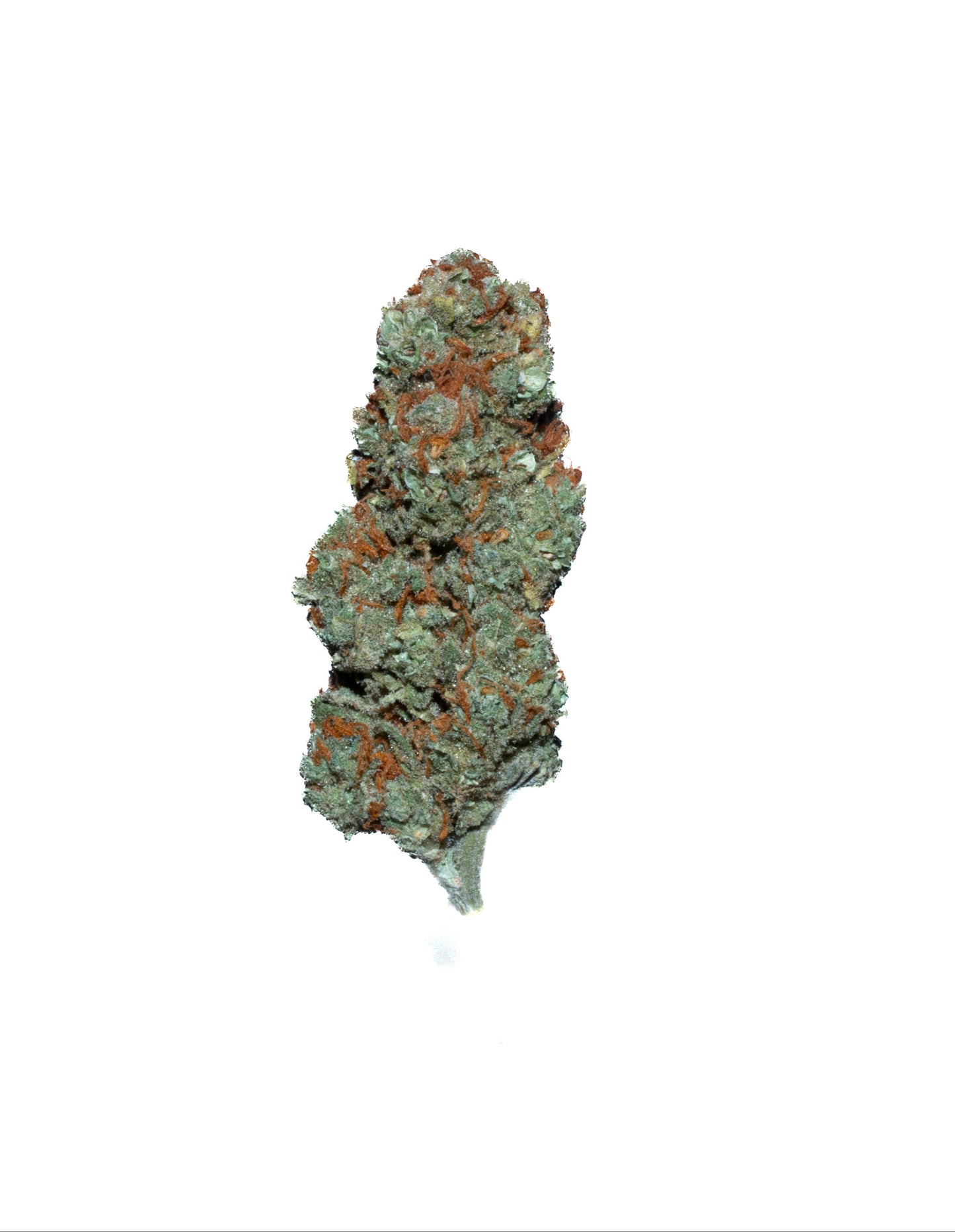 Super Lemon Haze
