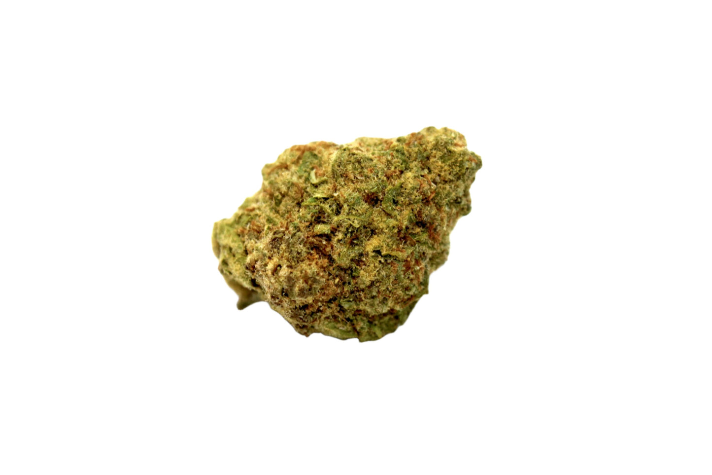 Tally Man hybrid cannabis strain — buy online Cape Town | Cannibisters