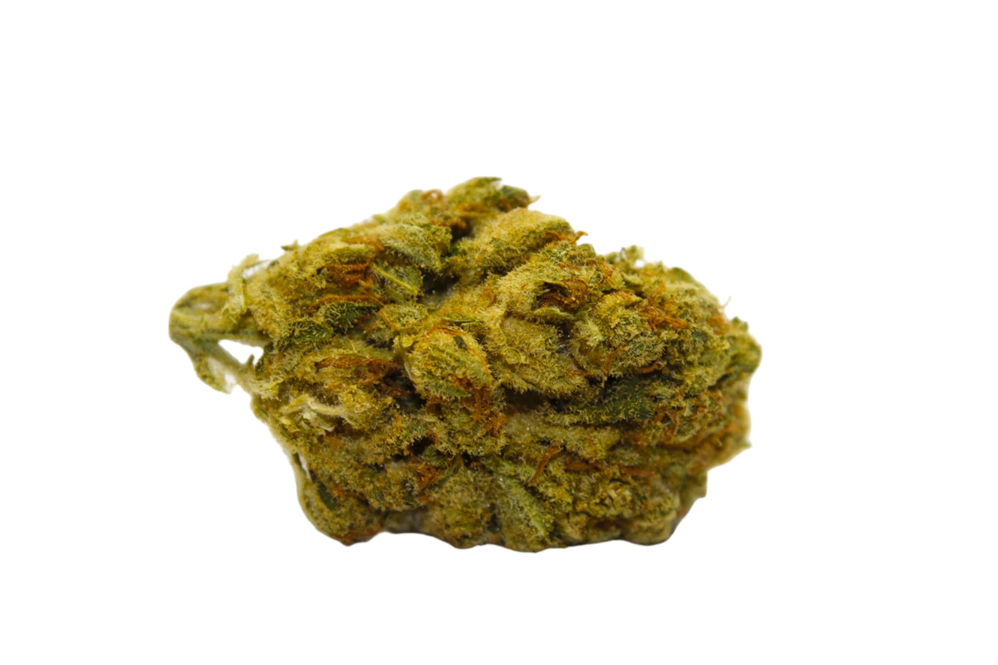 Thin Mints Joints hybrid cannabis | Cannibisters Cape Town