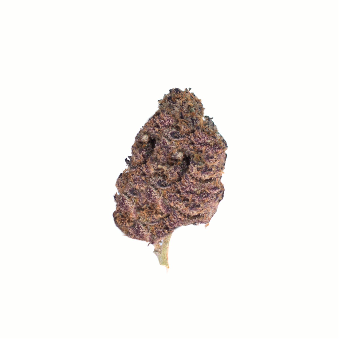 Blue Asterisk cannabis cannabis strain — buy online Cape Town | Cannibisters