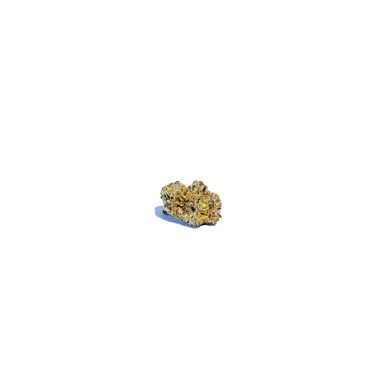 White Meat indica cannabis strain — buy online Cape Town | Cannibisters