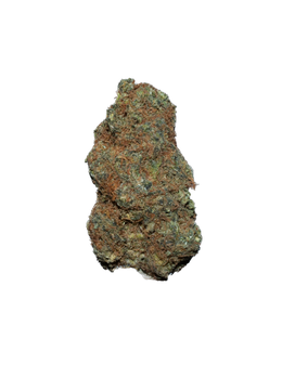 Acapulco Gold cannabis flower bud