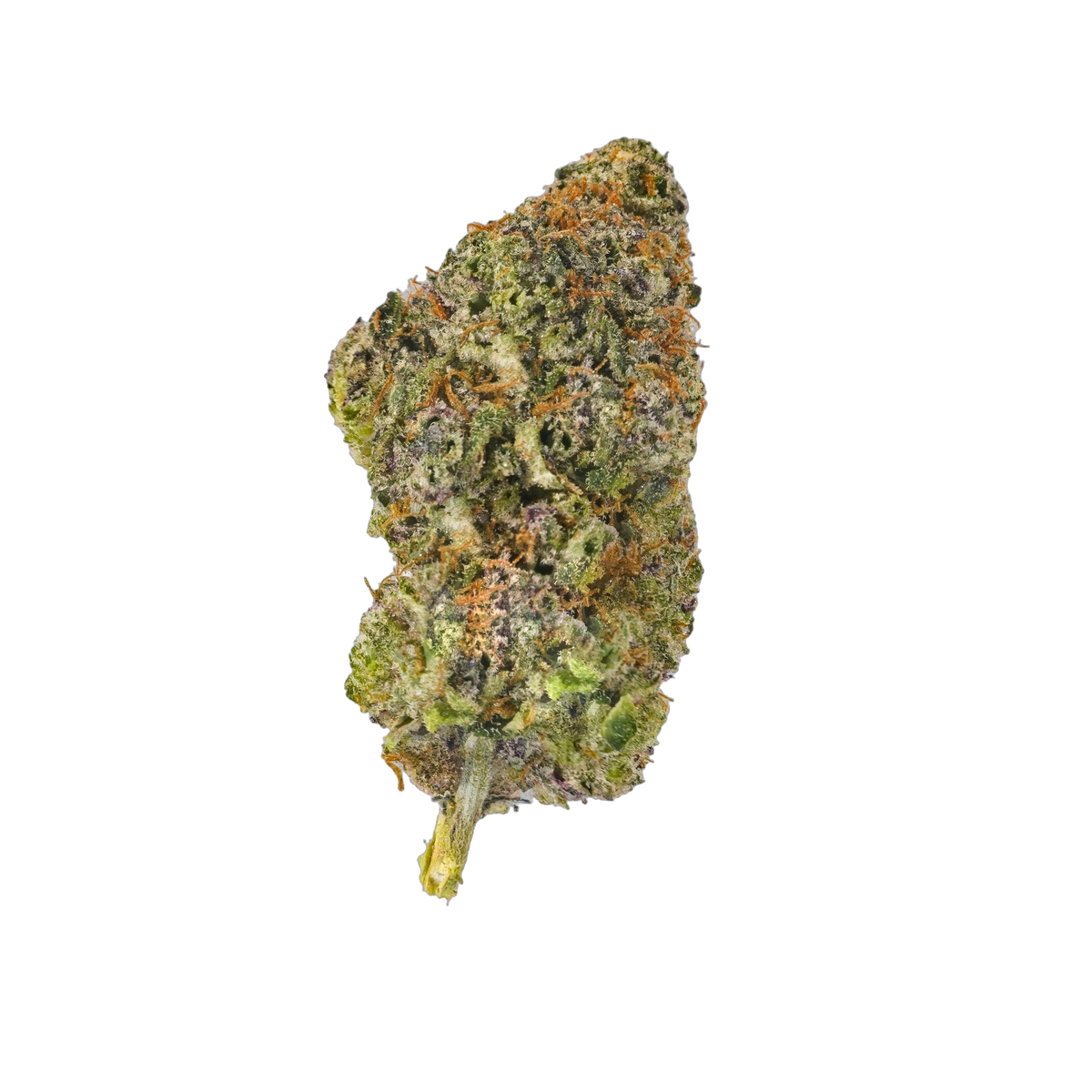 Alaska cannabis flower bud