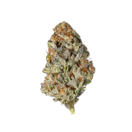 Astro Grape - Cannibisters Limited Collection cannabis flower bud