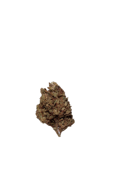 Banana Kosher Kush (Organic Living Soil) cannabis flower bud