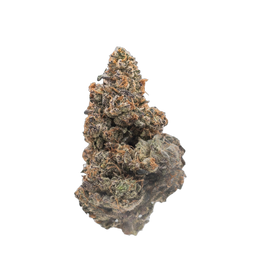 Black Cat cannabis flower bud