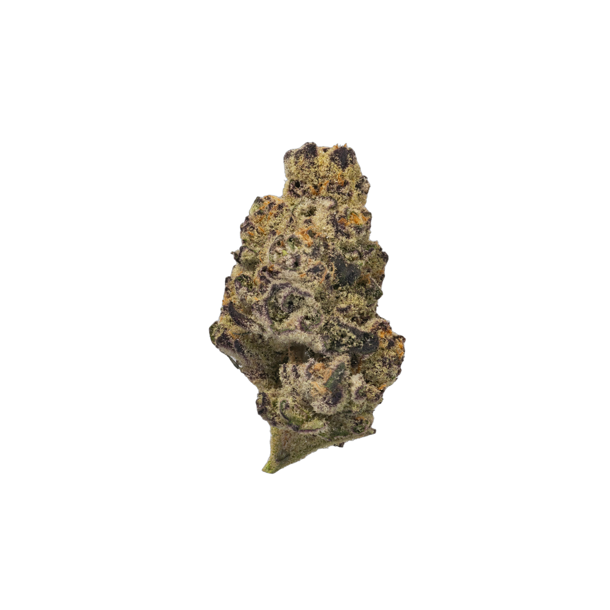 Black Panther cannabis flower bud
