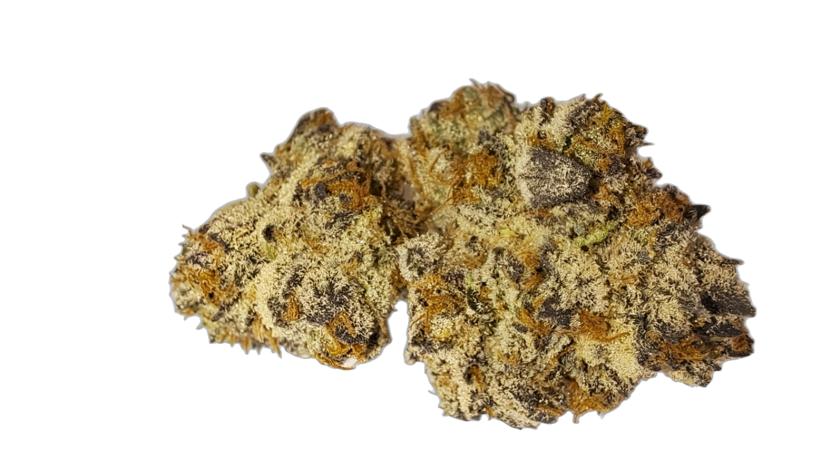 Black Sugar cannabis flower bud
