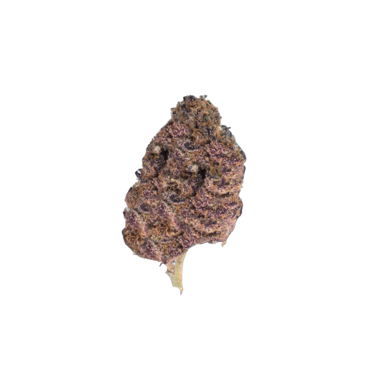 Blue Asterisk cannabis flower bud