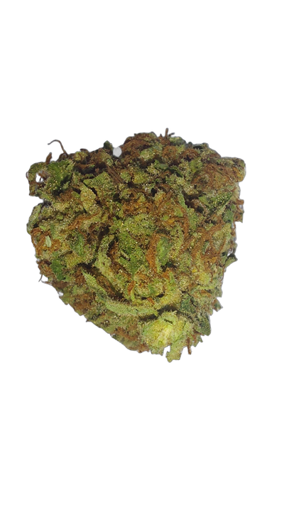 Blue Dream (Organic Living Soil) cannabis flower bud